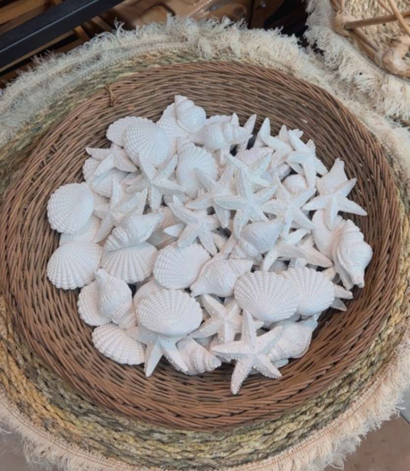 مگنت دریایی